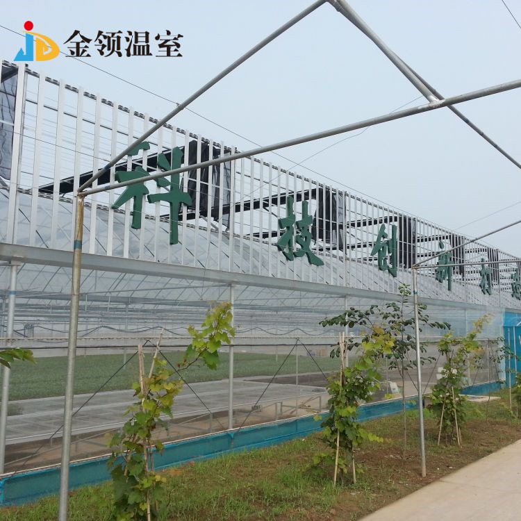 山西8000平连栋温室案例